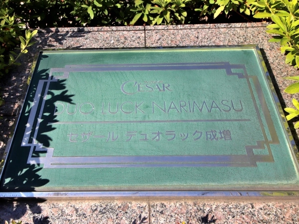 デュオラック成増