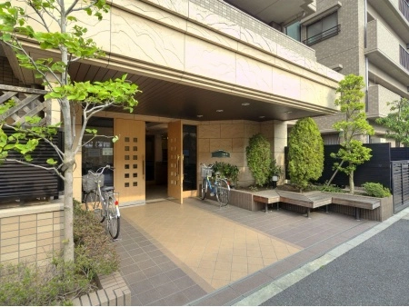 エンゼルピュア竹の塚