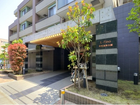 エルフィーノ中央森林公園