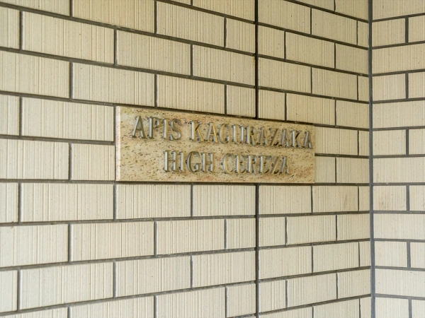 アピス神楽坂ハイセレサ