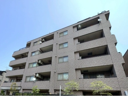 セザール瑞江