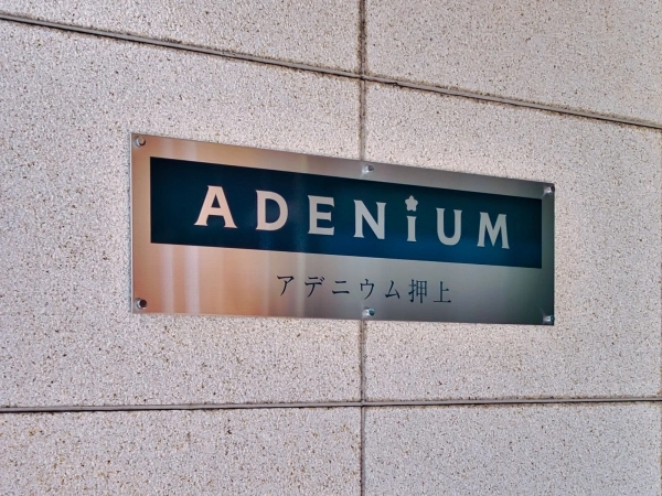 アデニウム押上