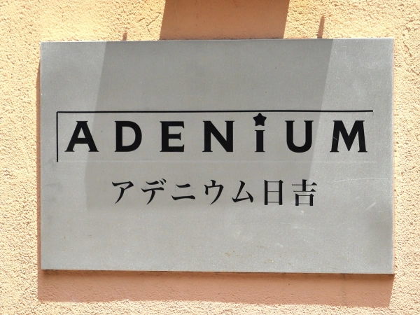 アデニウム日吉