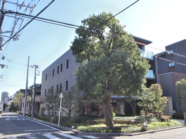 ザレジデンス小杉陣屋町