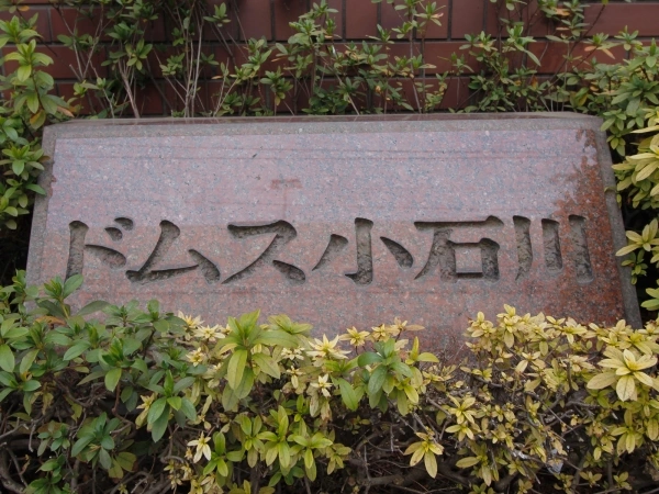 ドムス小石川