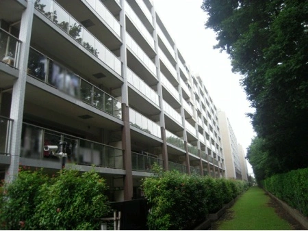 エルシオ玉川上水