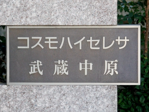 コスモハイセレサ武蔵中原