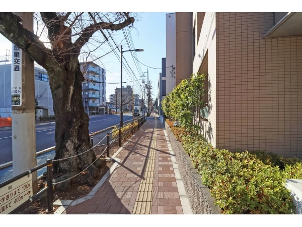 メゾンヴェール国立さくら通り