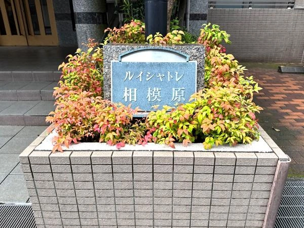 ルイシャトレ相模原