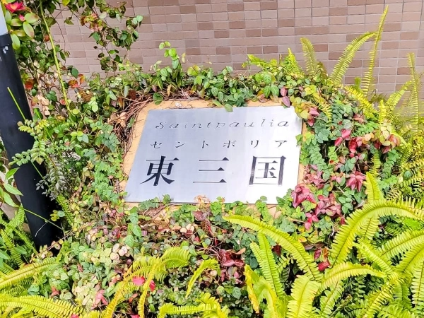 セントポリア東三国