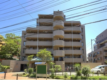 アーデル綾瀬