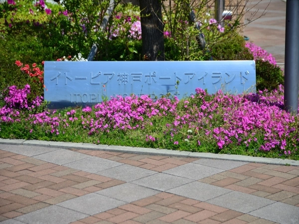 イトーピア神戸ポートアイランド