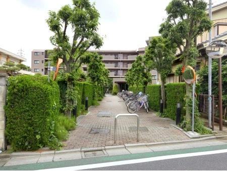 エヴァーグリーン金町