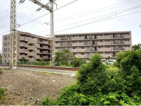 エヴァーグリーン金町