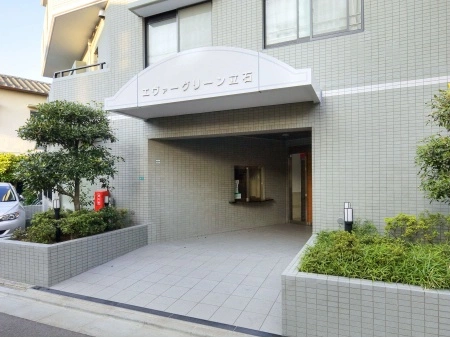 エヴァーグリーン立石