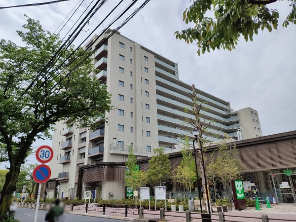 クラッシィハウス亀有