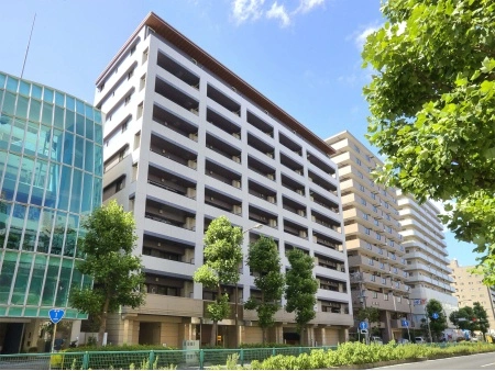 アデニウム横浜反町