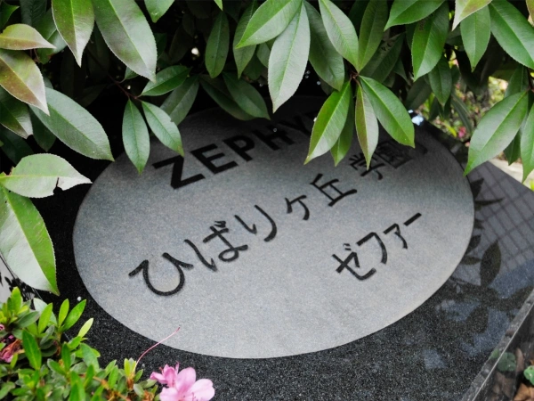 ゼファーひばりケ丘学園町
