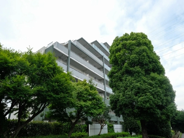 ルイシャトレ府中是政