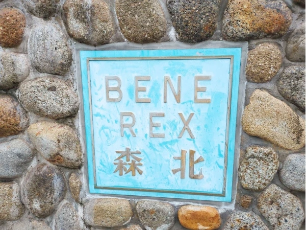ベネレックス森北