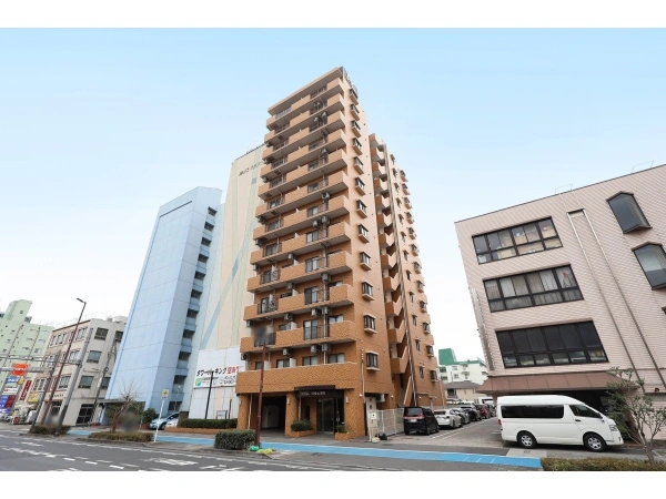 ダイアパレス川崎元木町