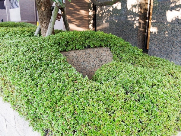 レジオン帝塚山 マンション表札（緑彩館）