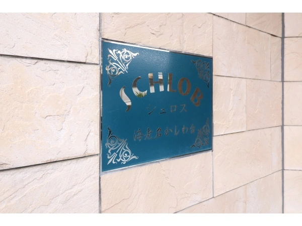 シュロス海老名かしわ台