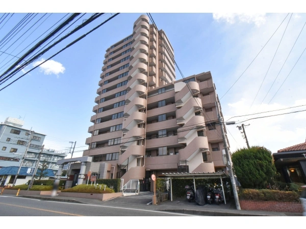 ナイスアーバン小田急相模原III