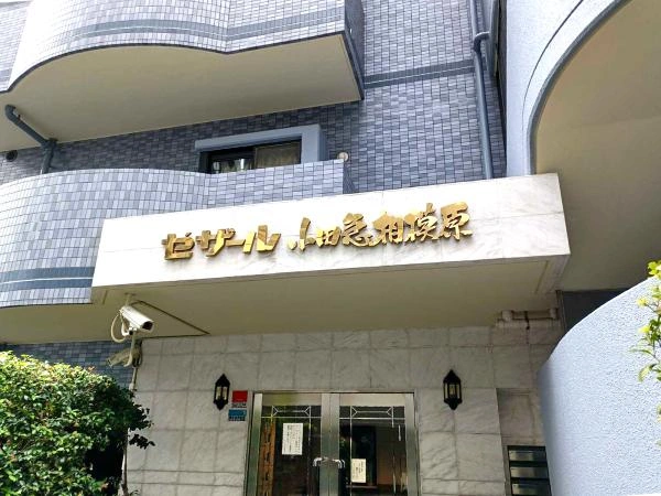 セザール小田急相模原