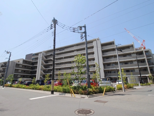 アデニウム川崎