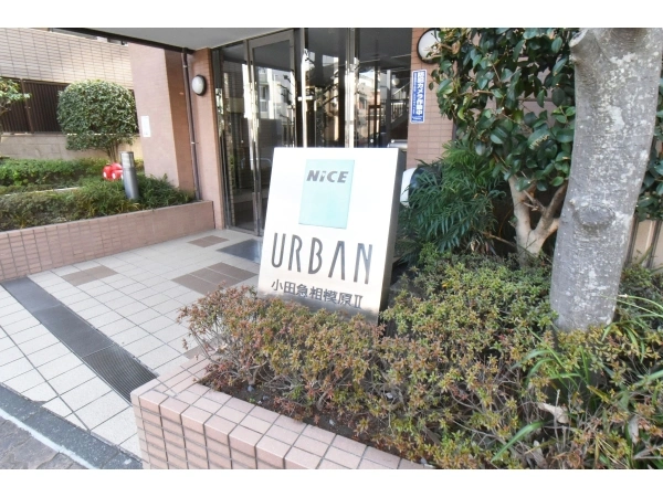 ナイスアーバン小田急相模原II