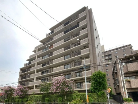 アメニクス川口