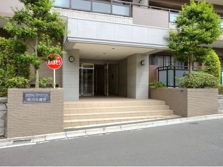 エヴァーグリーン市川北国分