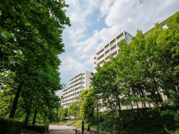 多摩ニュータウン南大沢学園・萌樹の丘