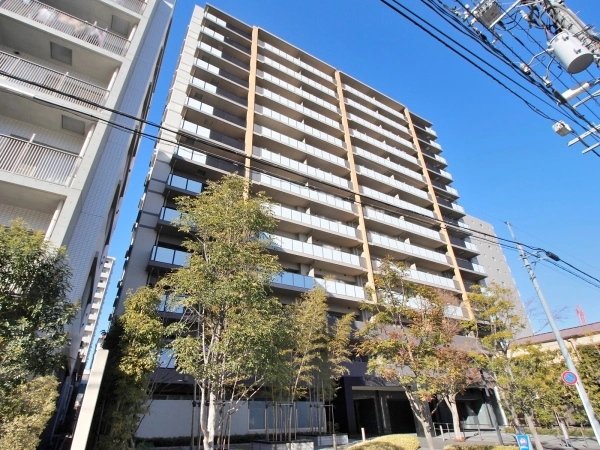 アデニウム新小岩