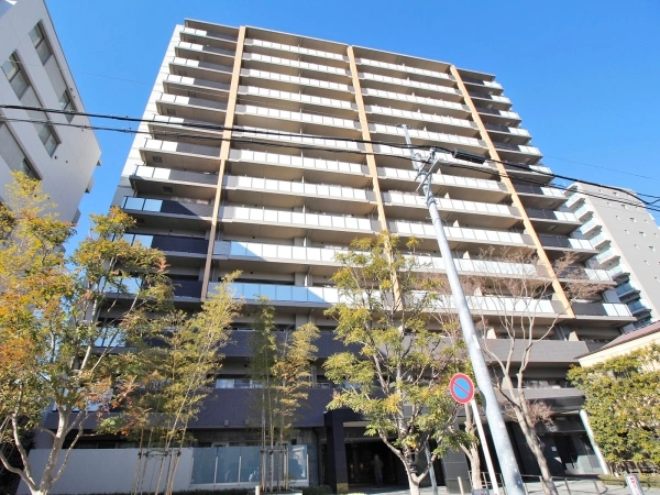 アデニウム新小岩
