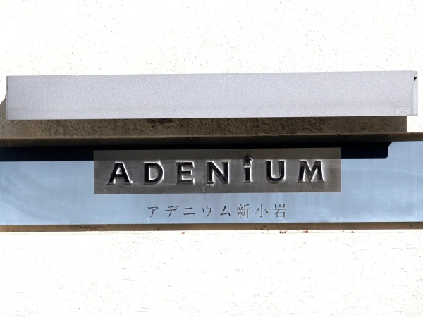 アデニウム新小岩