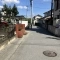 【埼玉県/川越市大字今泉】川越市今泉　土地 前面道路