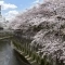 【東京都/板橋区板橋】板橋区板橋3丁目 古家付土地 石神井川の...