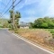 【神奈川県/横浜市中区山手町】横浜市中区山手町土地　B区画 前面道路