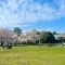 【東京都/小金井市梶野町】小金井市梶野町3丁目　土地 小金井公園