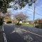【神奈川県/鎌倉市鎌倉山】鎌倉市鎌倉山1丁目　古家付き土地 前面道路