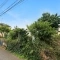 【神奈川県/横浜市瀬谷区本郷】瀬谷区本郷3丁目　土地 現地