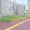 【東京都/江東区亀戸】江東区亀戸6丁目 売地 現地