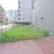 【東京都/江東区亀戸】江東区亀戸6丁目 売地 現地