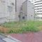 【東京都/江東区亀戸】江東区亀戸6丁目 売地 現地