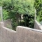 【東京都/町田市小山町】町田市小山町　戸建 庭