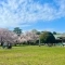 【東京都/小平市回田町】プラウドシーズン武蔵小金井　緑樹の街 小金井公園