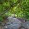 【東京都/世田谷区野沢】世田谷区野沢4丁目戸建 東京都立駒...