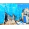 【千葉県/柏市新富町】柏市新富町1丁目　新築一戸建て 